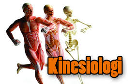 Improve margins and reposition quickly